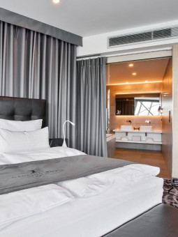 Noc v Ginger suite s...